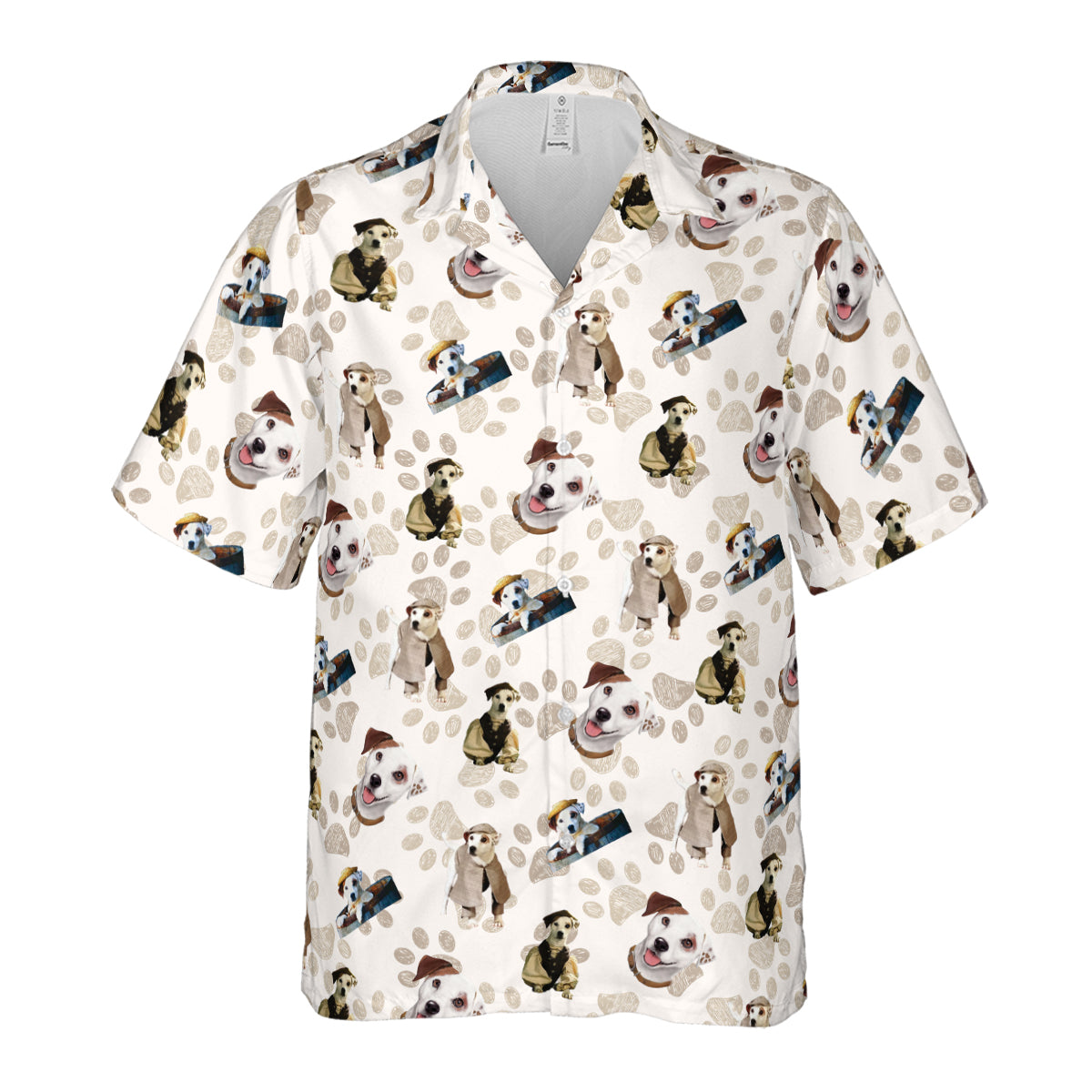Hawaiian Shirt - YBPMPE7X